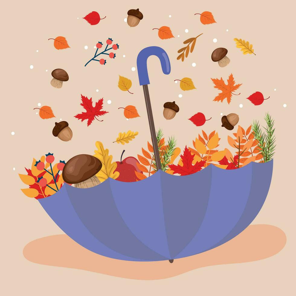 Hallo herfst. herfst bladeren, eikels en champignons vallen in een paraplu. esdoorn- blad val. vector illustratie