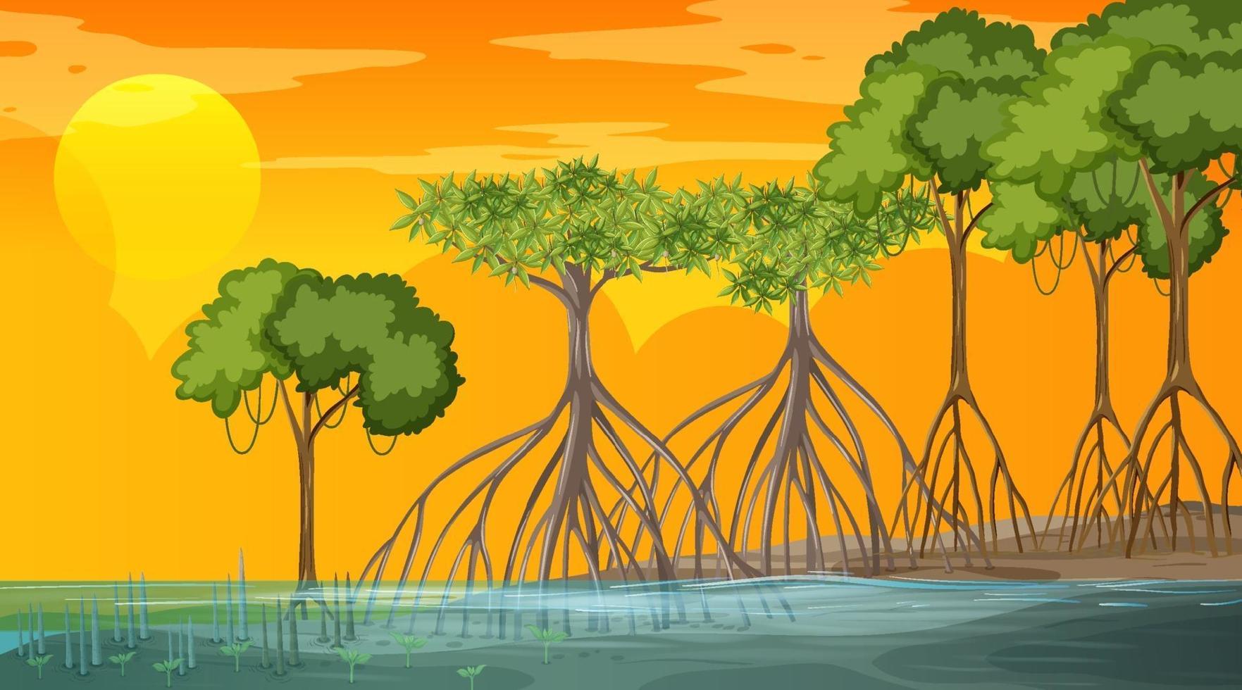 mangroveboslandschapsscène bij zonsondergangtijd vector