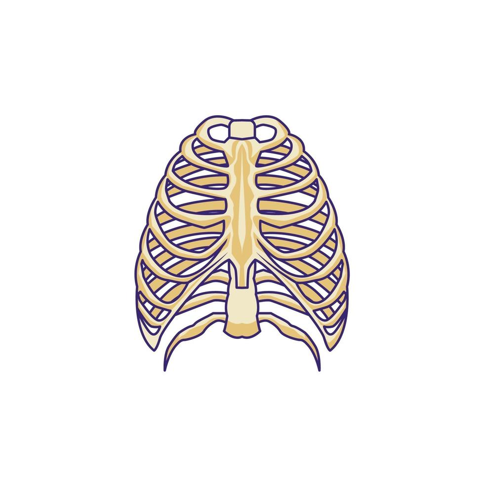 borstbeen vector illustratie geïsoleerd ontwerp