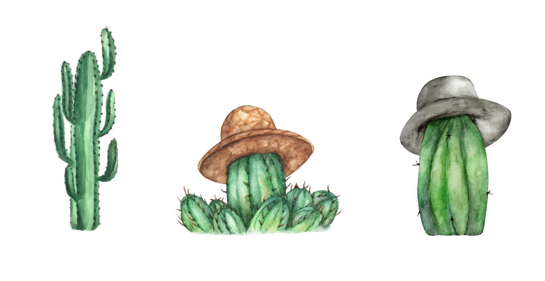 set van cactussen. aquarel illustratie. vector