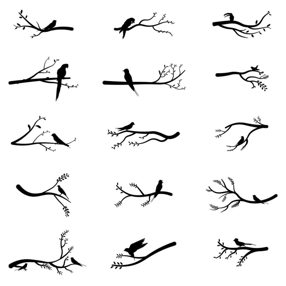 verzameling van vector illustraties van vogel silhouetten neergestreken Aan takken
