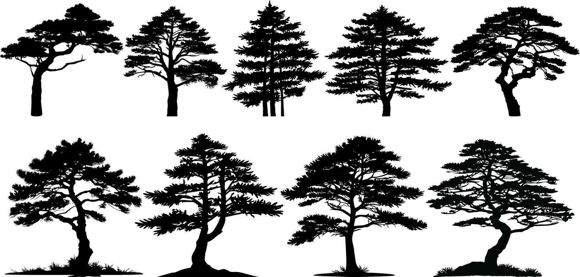 verzameling van silhouetten van pijnboom bomen. vector illustratie.