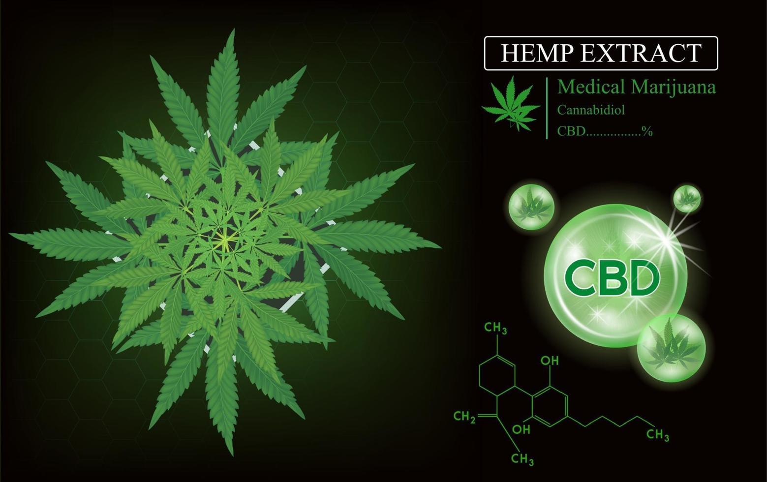 groene marihuanabladeren. medische kruiden, cbd cannabidiol olie hennep. vector