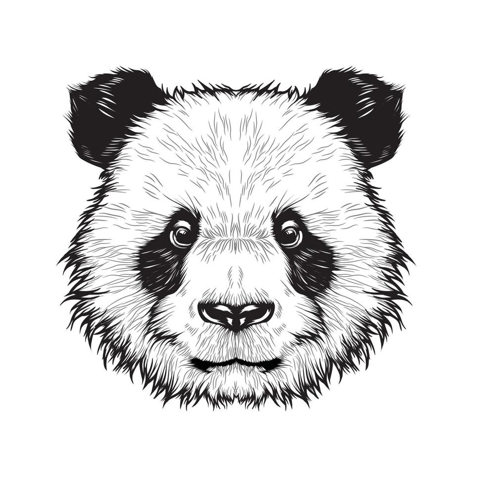 panda schattig hoofd, tekening vector