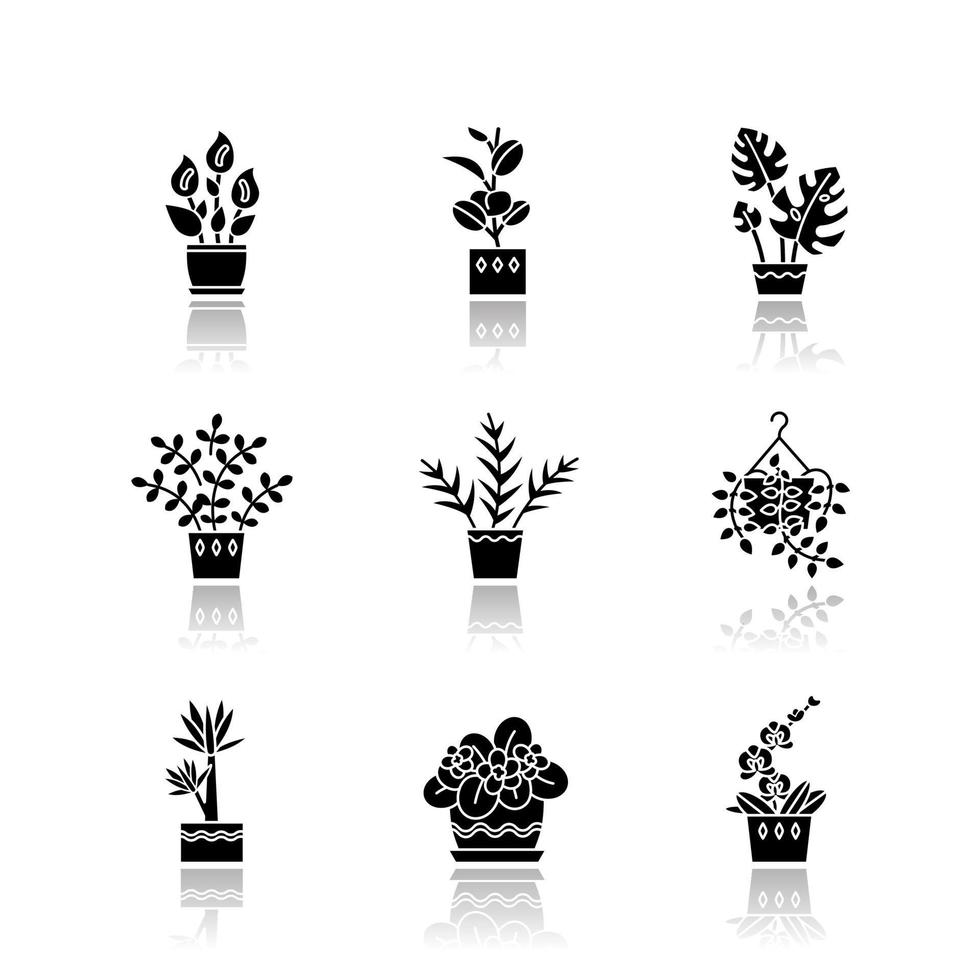 spuiten gedomesticeerde planten slagschaduw zwarte glyph pictogrammen set vector