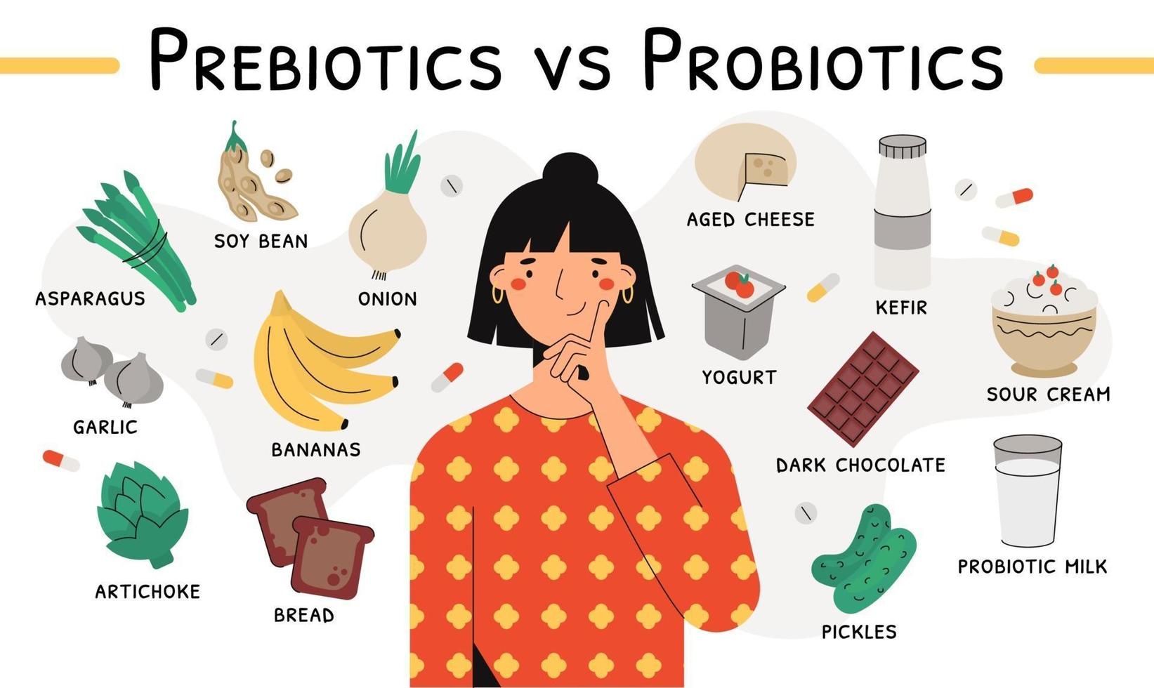 bronnen van prebiotica en probiotica platte vector