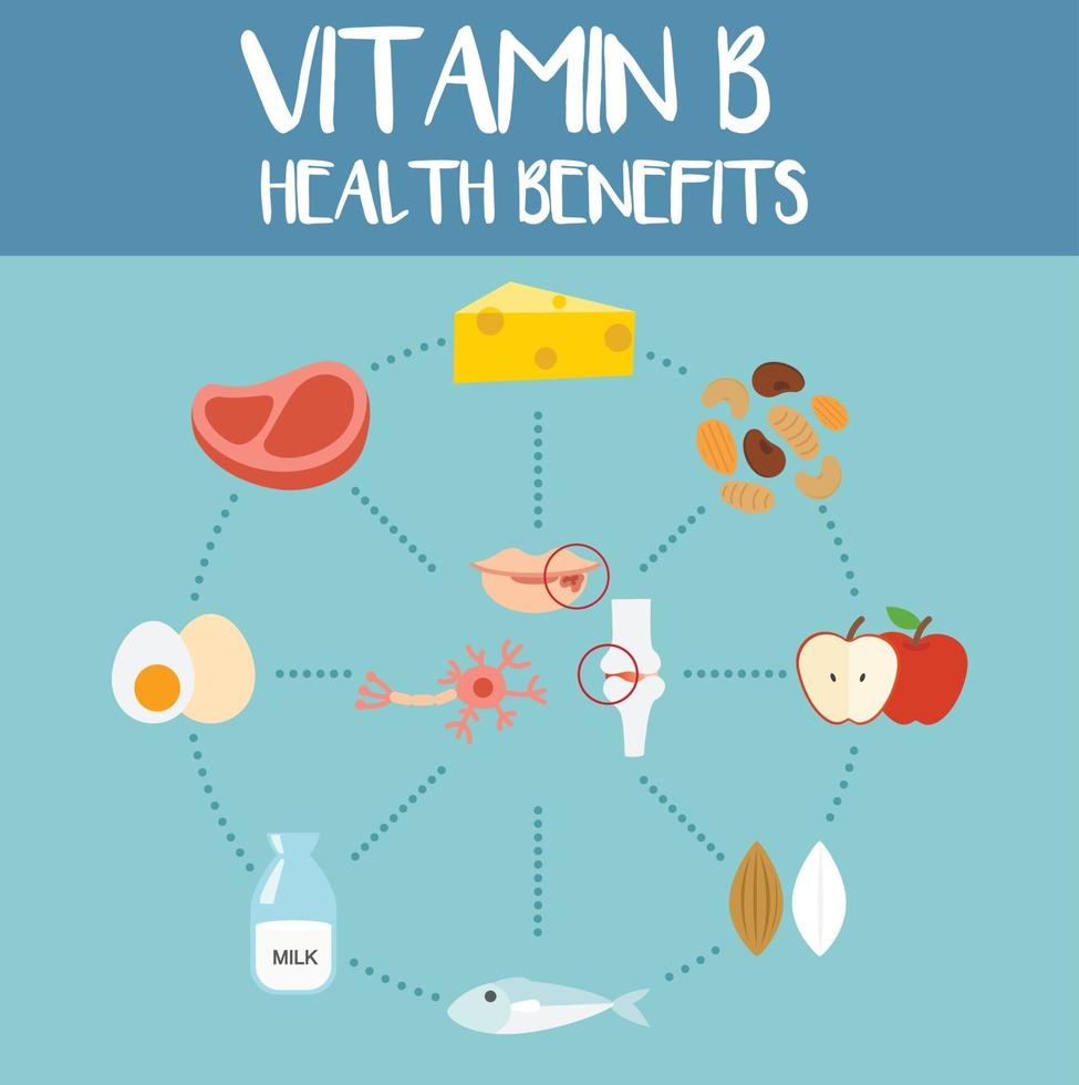 gezondheidsvoordelen van vitamine b, illustratie: vector