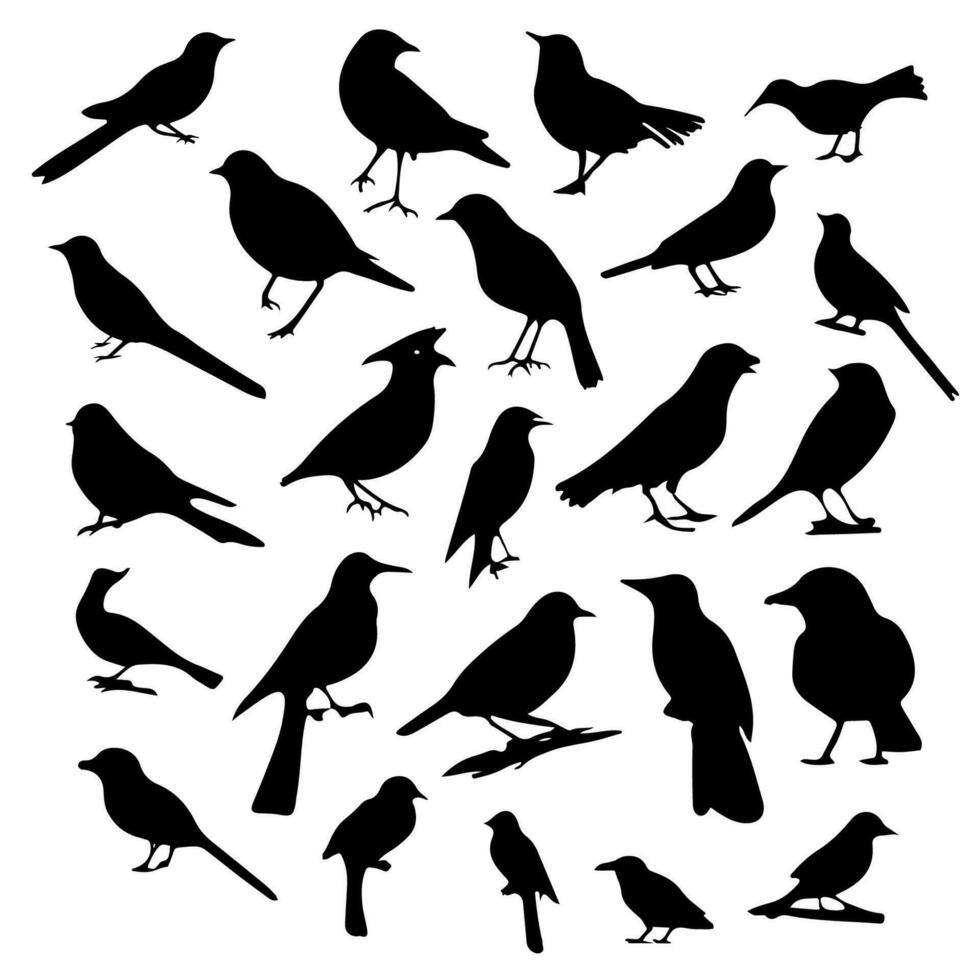vogel silhouetten vector illustratie reeks