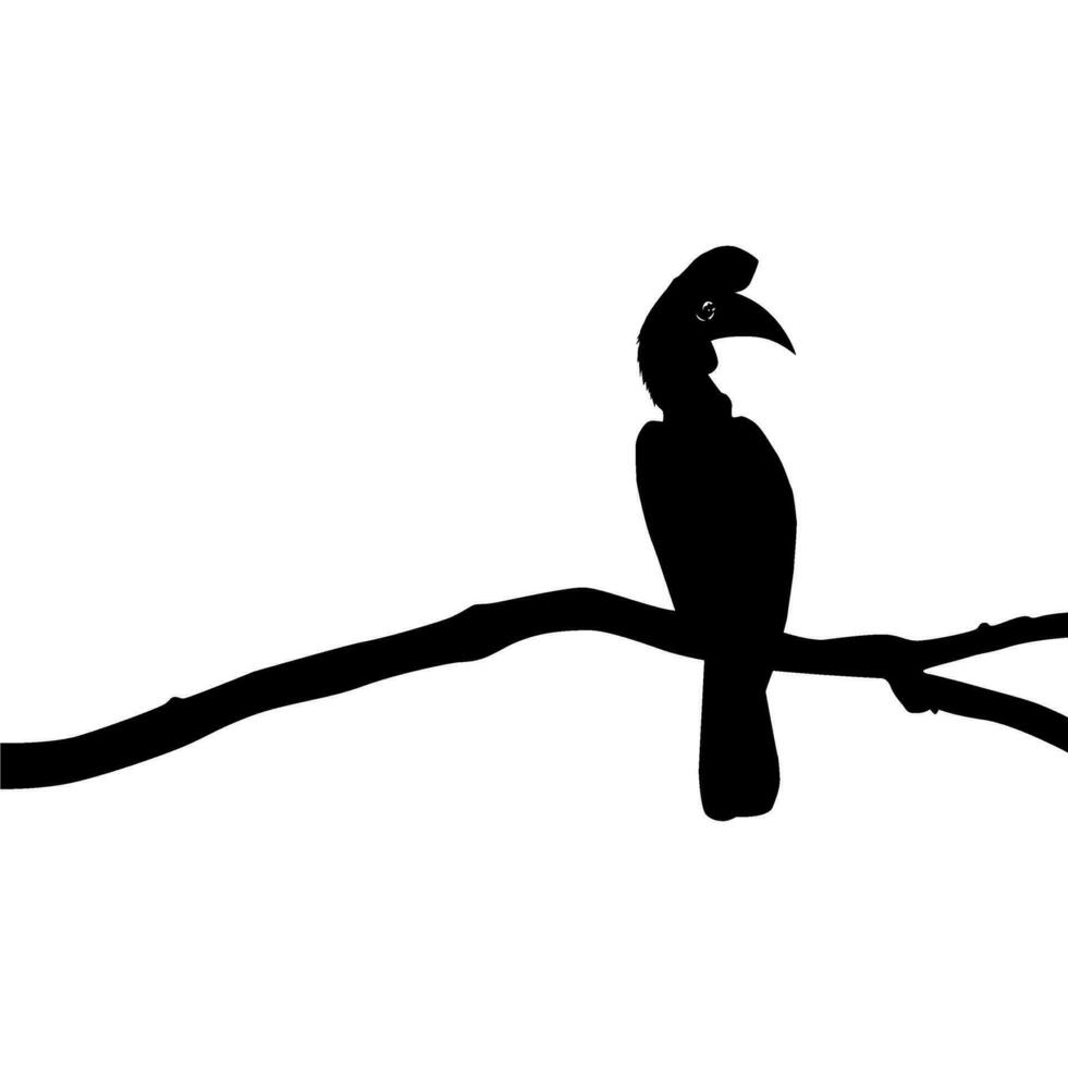 Super goed toeter vogel silhouet neergestreken Aan de Afdeling boom silhouet. vector illustratie