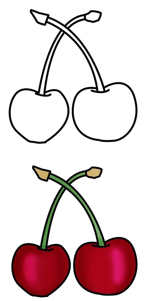 handgetekende kersenfruit vectorillustratie vector