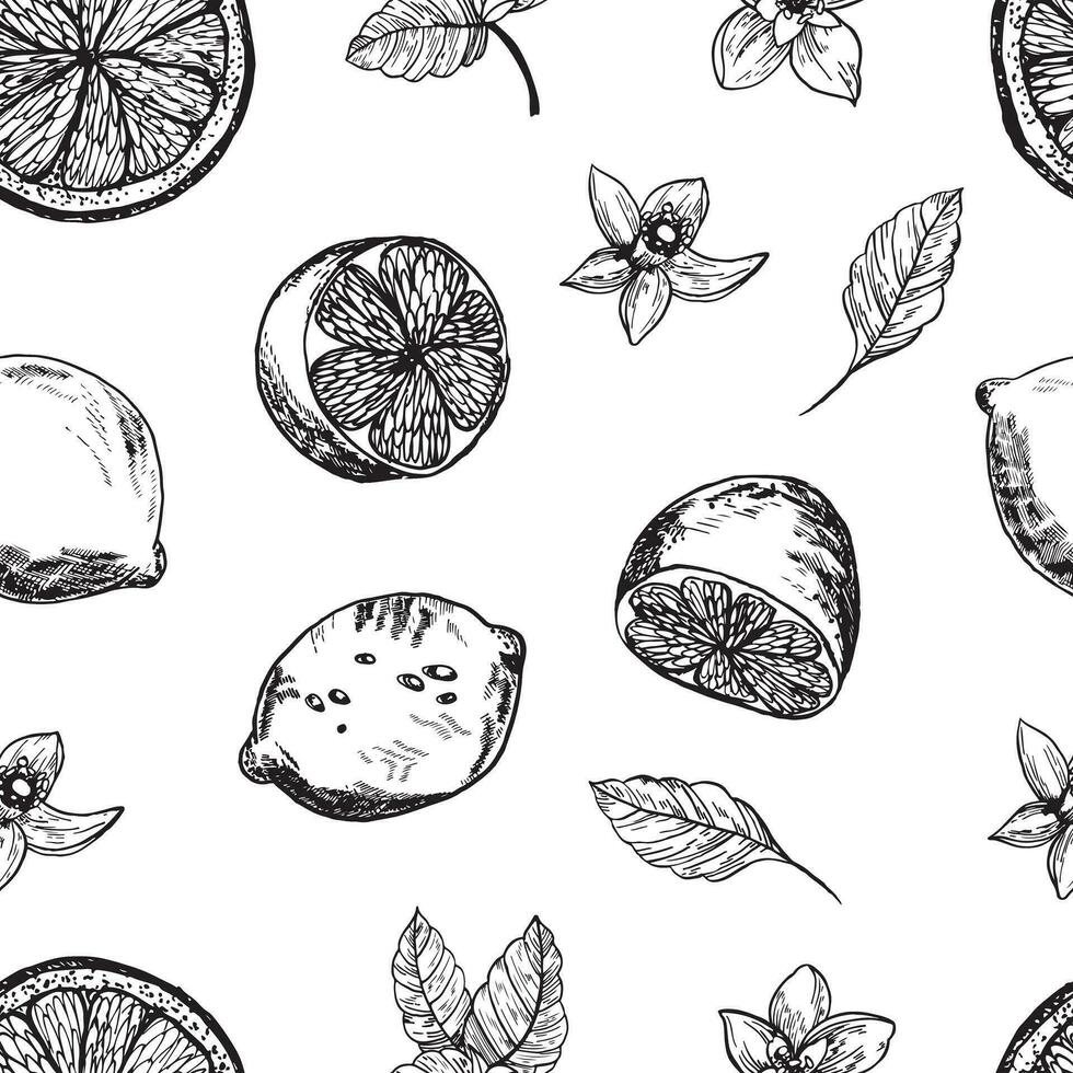 grafisch patroon met citroenen, citroen plakjes met bloemen. naadloos patroon met zomer citroenen, hand getekend in inkt. vector achtergrond met citrus fruit en bloemen, takken