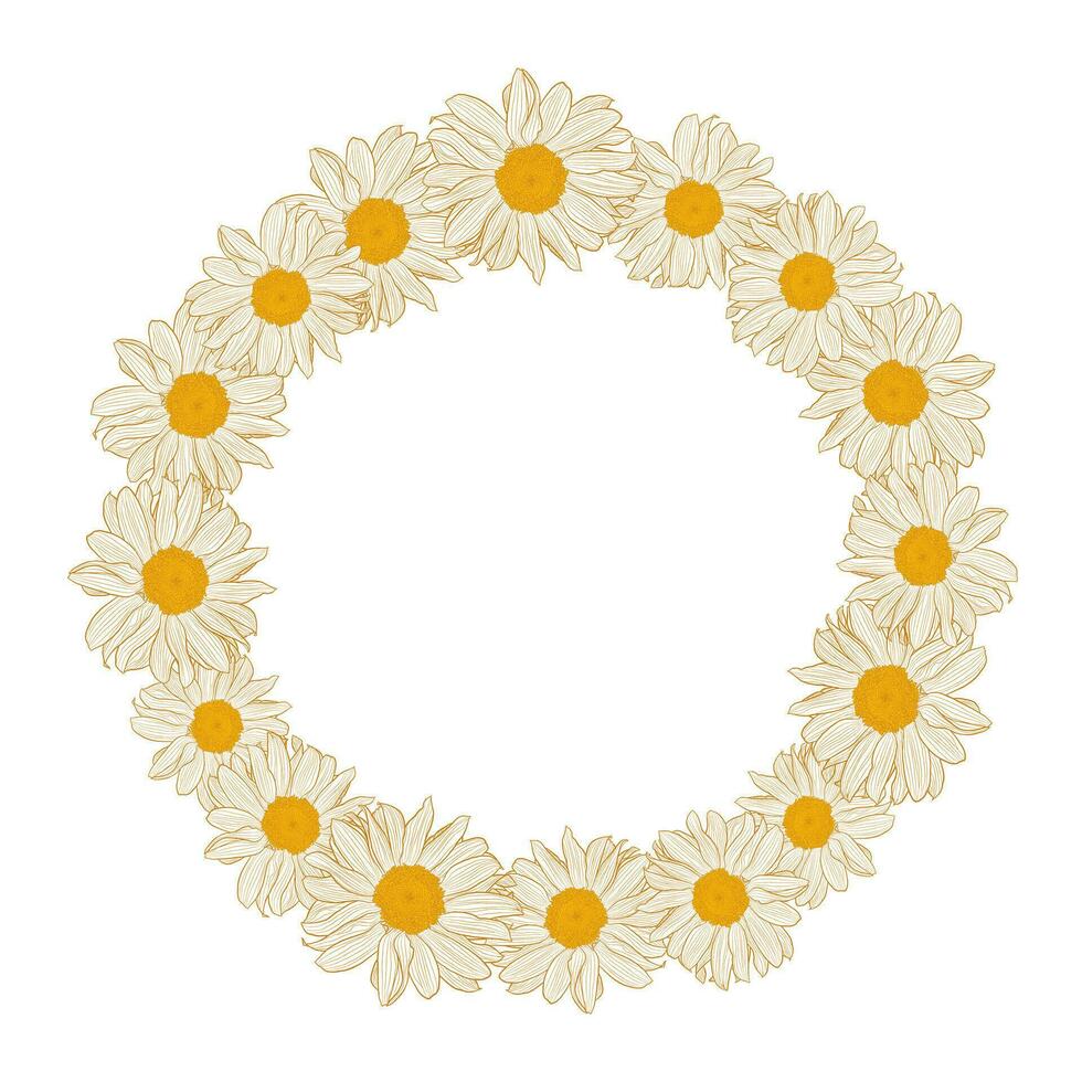 bloemen krans met kamilles geïsoleerd Aan wit achtergrond. vector illustratie element met kopiëren ruimte voor tekst, mei gebruik voor groet kaarten, uitnodigingen, bruiloft, verjaardag, Pasen, pakket ontwerp.