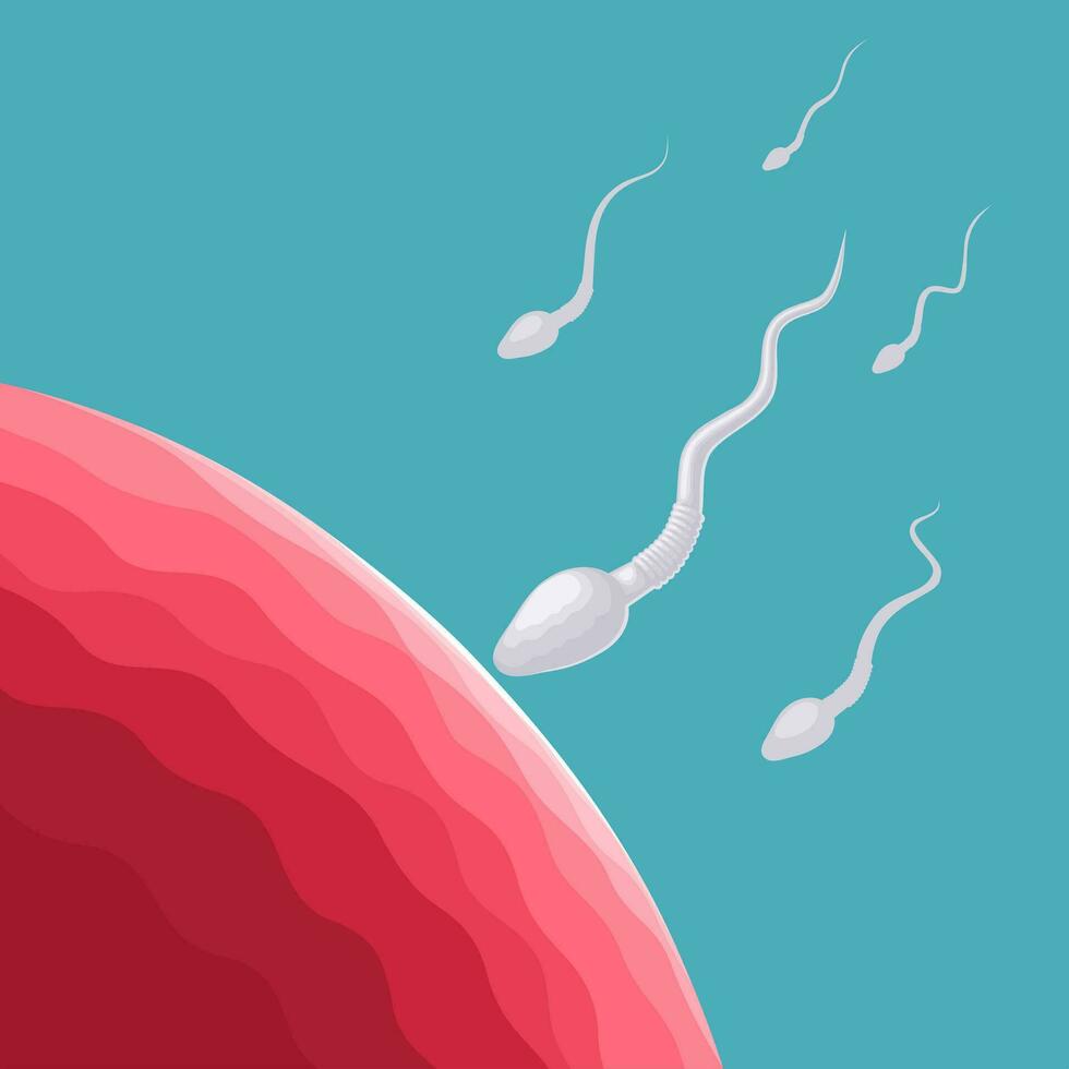 vector illustratie, ei en sperma cellen, Aan een blauw achtergrond.