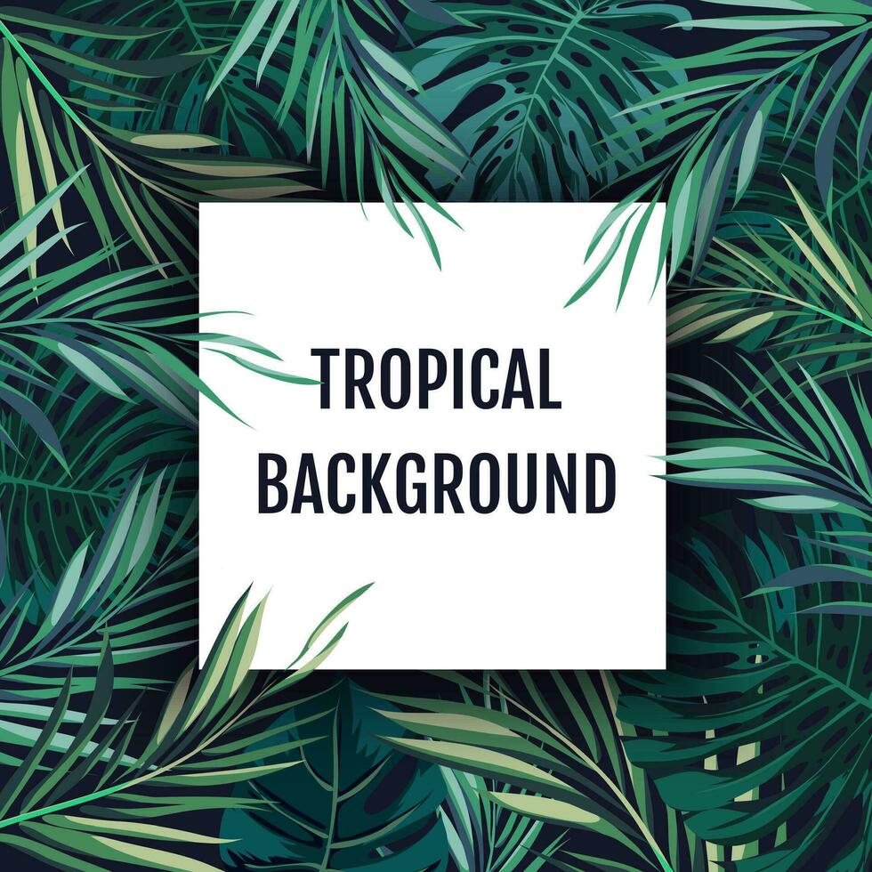 zomer tropisch hawaiiaans achtergrond met palm boom bladeren en exotisch planten vector