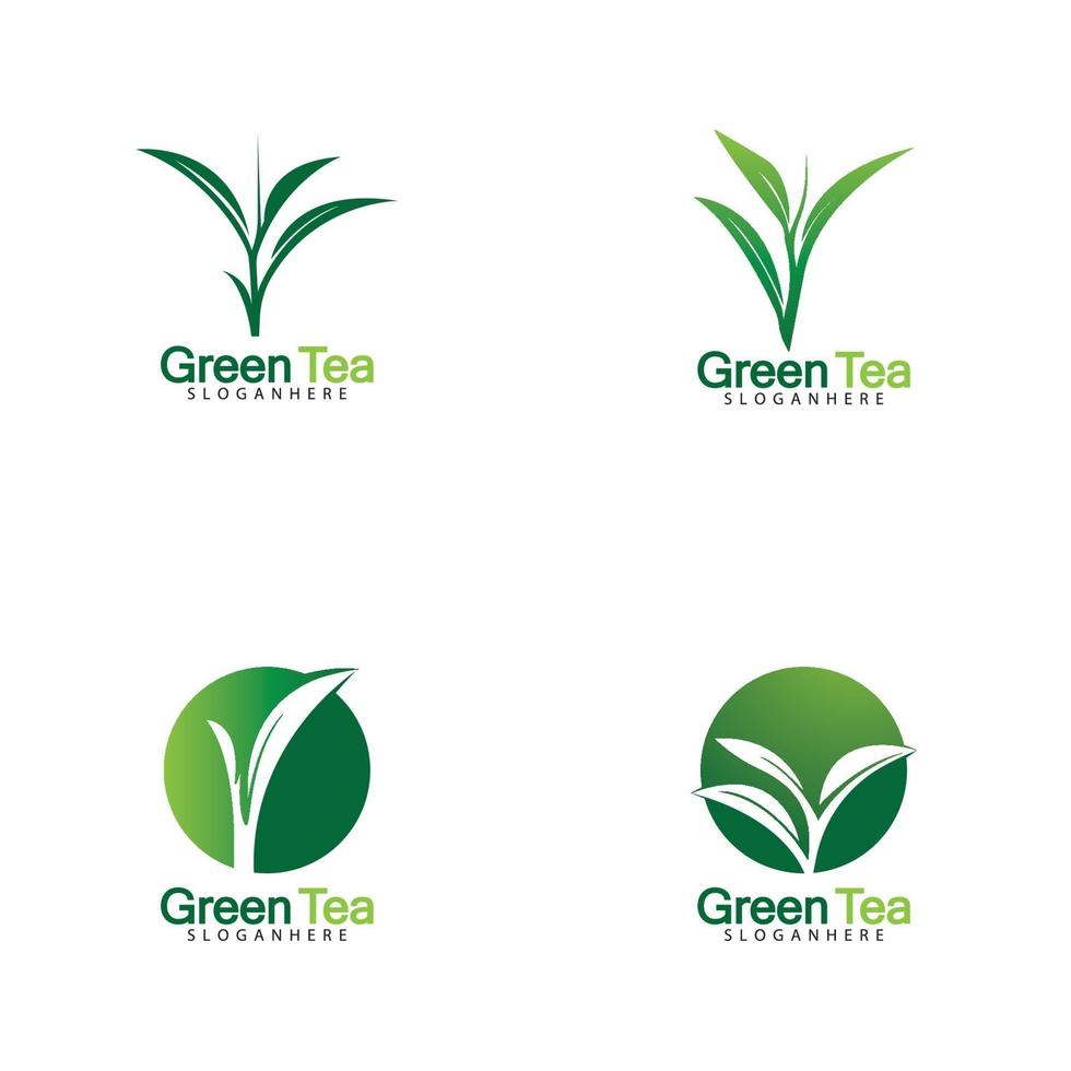 groene thee blad logo vector pictogram illustratie ontwerp