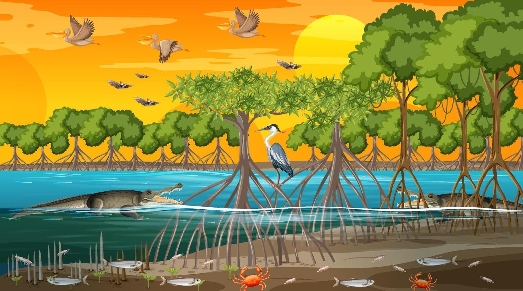 mangroveboslandschap bij zonsondergang met veel verschillende dieren vector