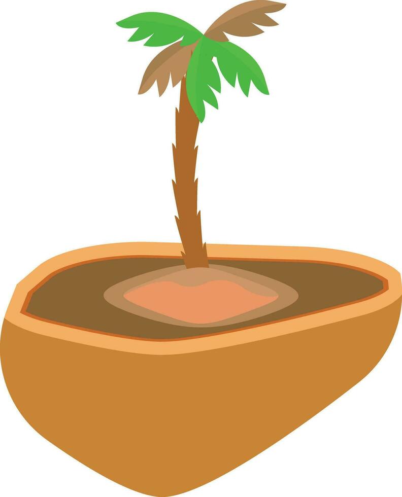 palmboom vector