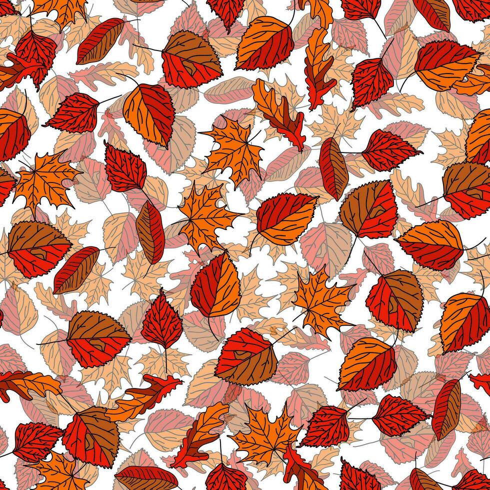 vector hand- getrokken naadloos patroon van vallen bladeren van berk, eik, esdoorn, as bomen