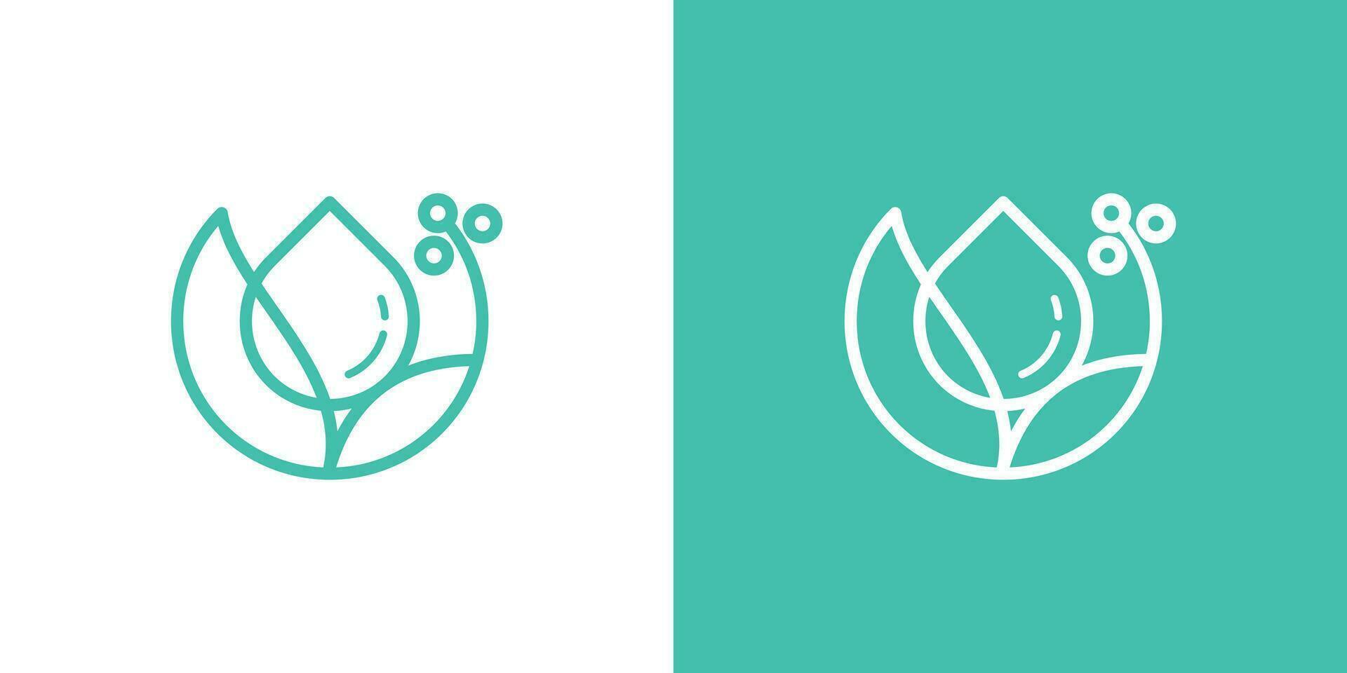 logo ontwerp combineren druppels met planten gemaakt in een minimalistische lijn stijl. vector