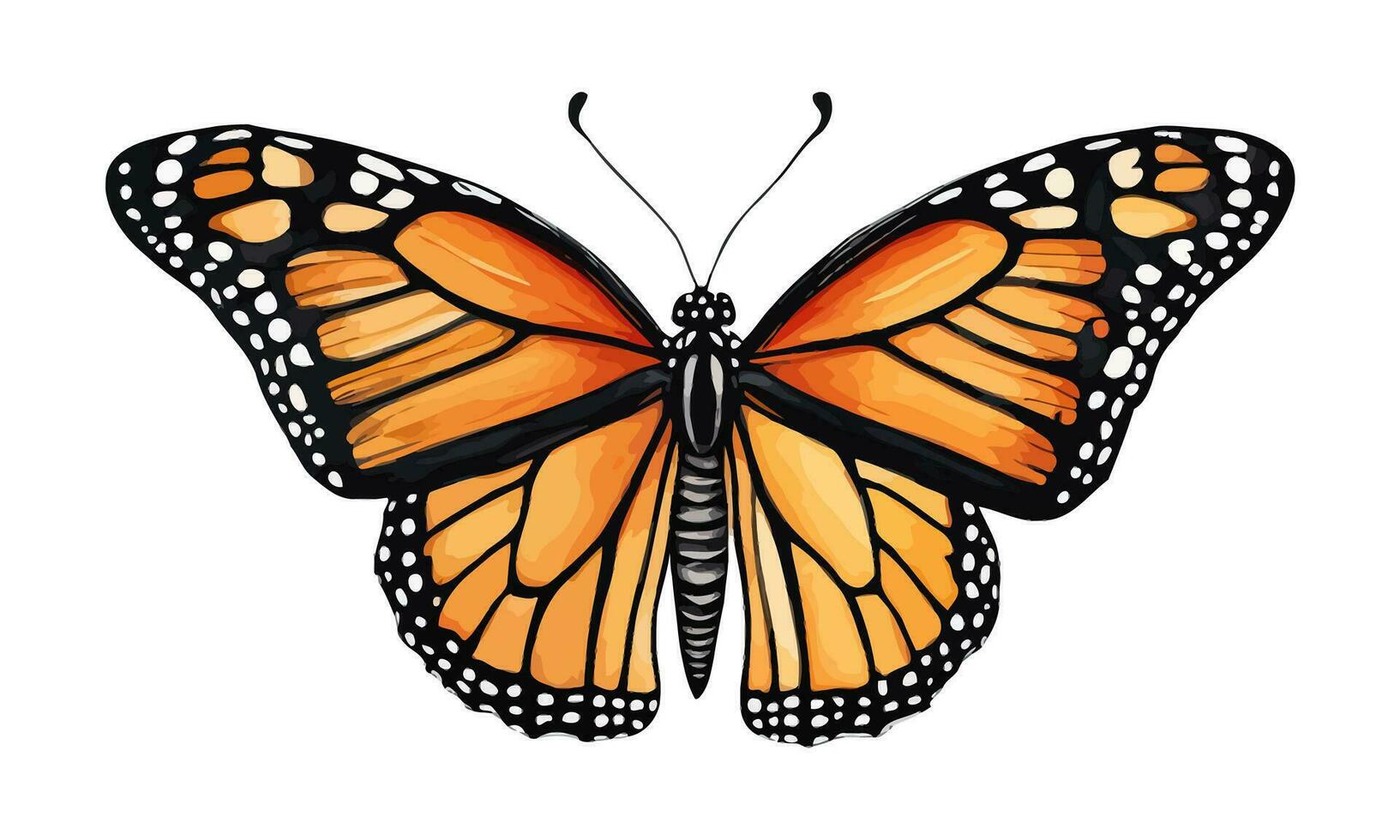 waterverf vector monarch vlinder geïsoleerd Aan wit achtergrond