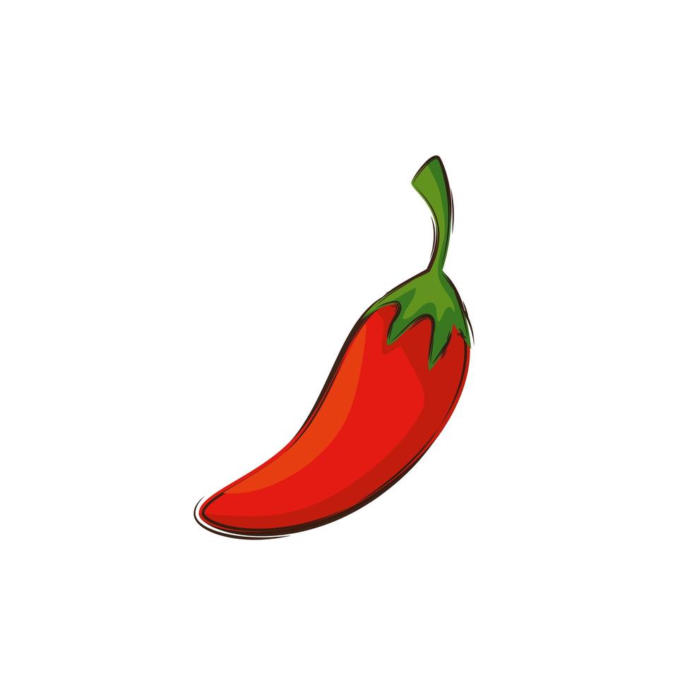 chili peper verse groente geïsoleerde icon vector