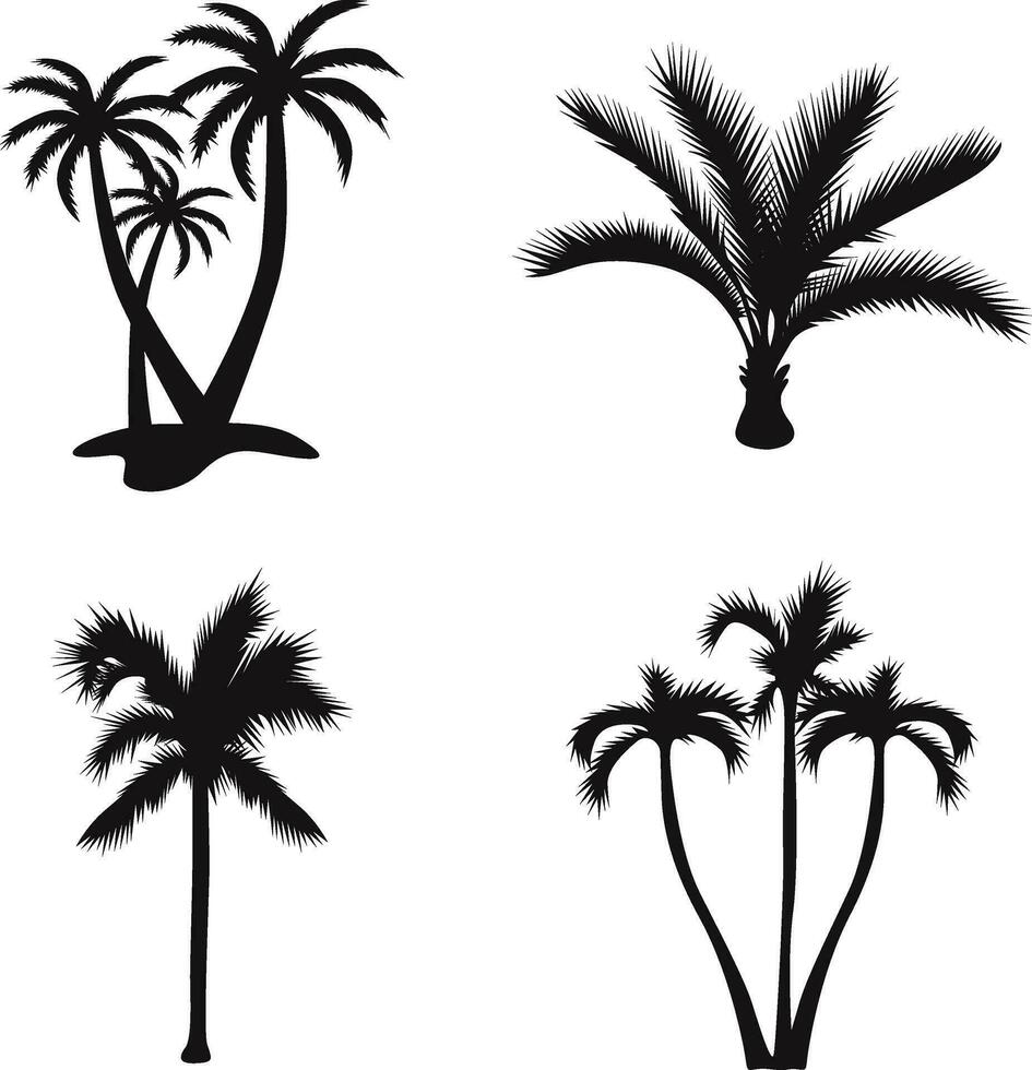 palm boom silhouet in verschillend vorm geven aan. geïsoleerd Aan wit achtergrond. vector illustratie set.