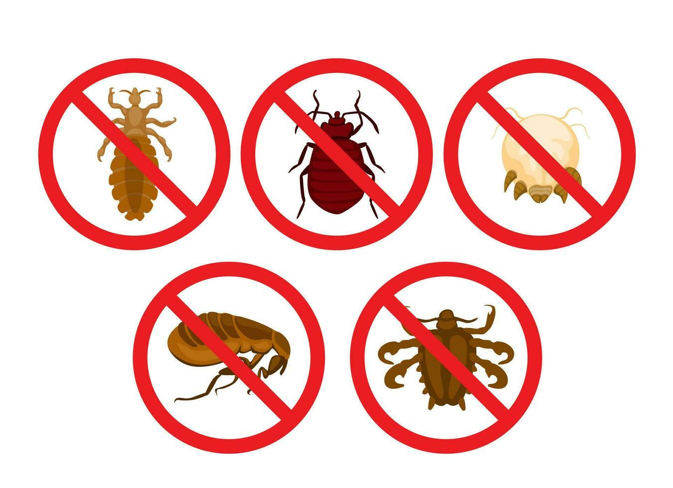 Nee luizen en kever insect symbool reeks tekenfilm illustratie vector