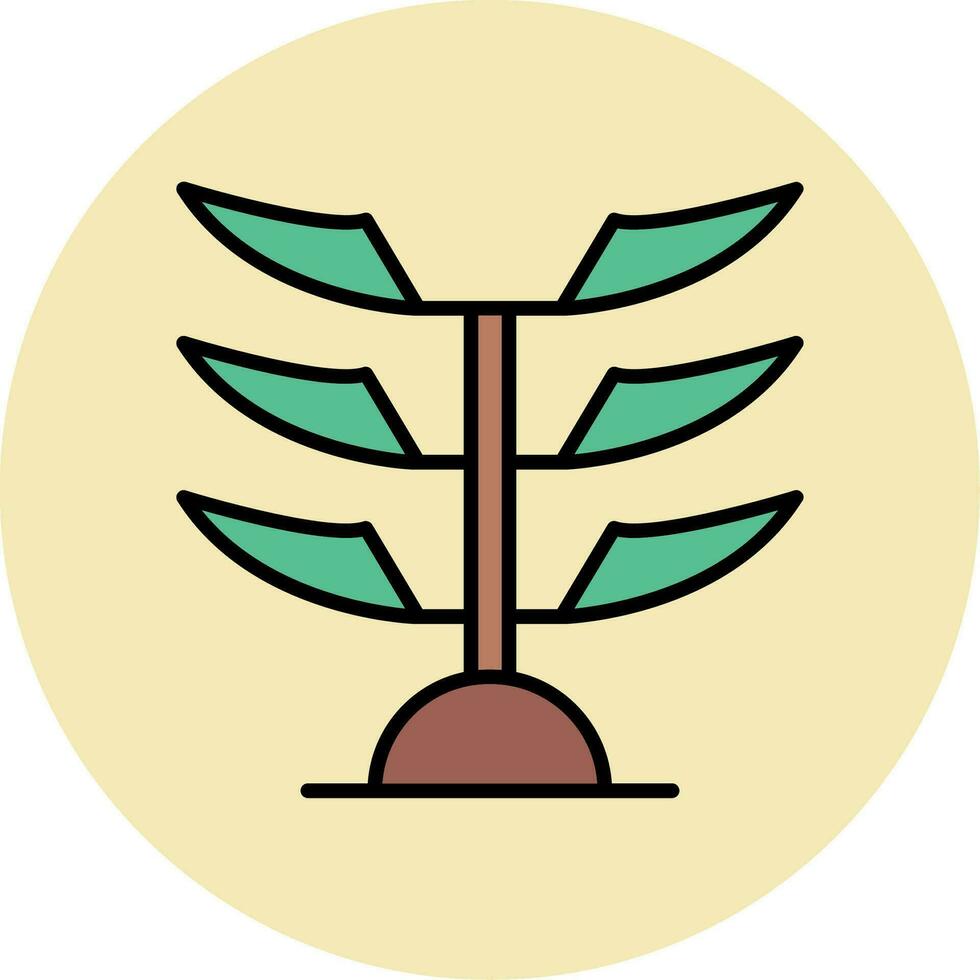 araucaria vector icoon