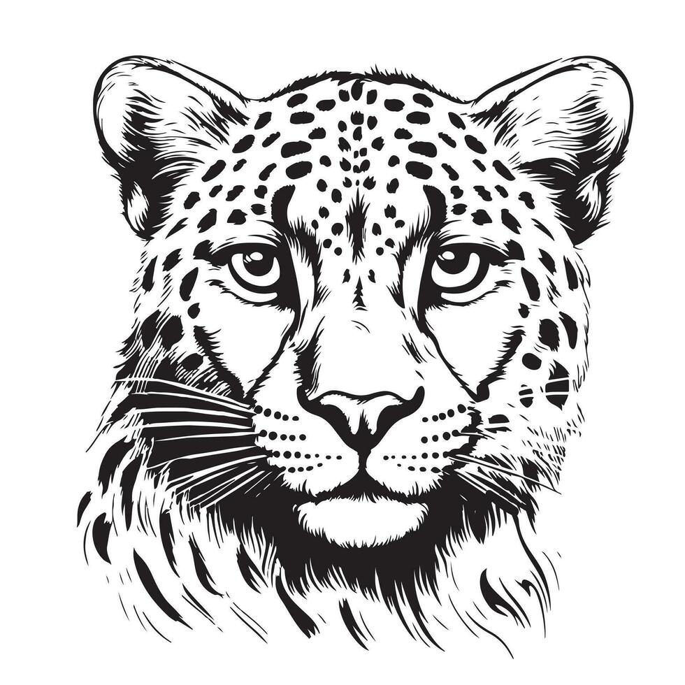 Jachtluipaard hoofd schetsen hand- getrokken grafisch safari dieren vector illustratie
