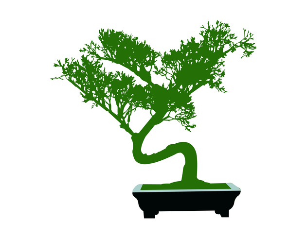 Japanse bonsai miniatuur boom cartoon vector