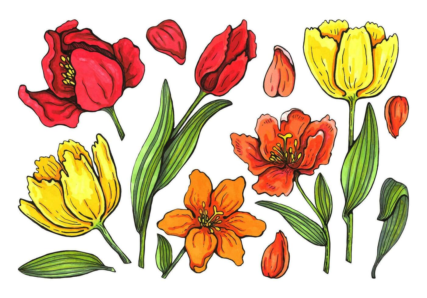 voorjaar bloemen en bladeren van tulpen geschilderd door waterverf. reeks voor ieder ontwerp vector