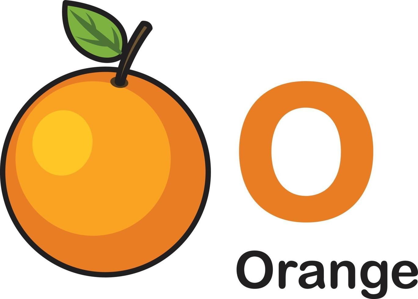 alfabet letter o-oranje vectorillustratie vector