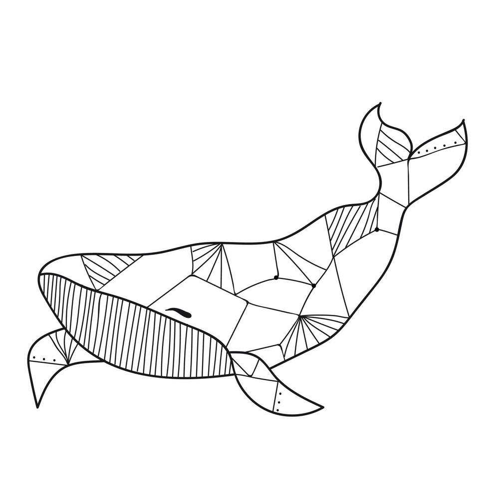 walvis zeeleven, vissen vector