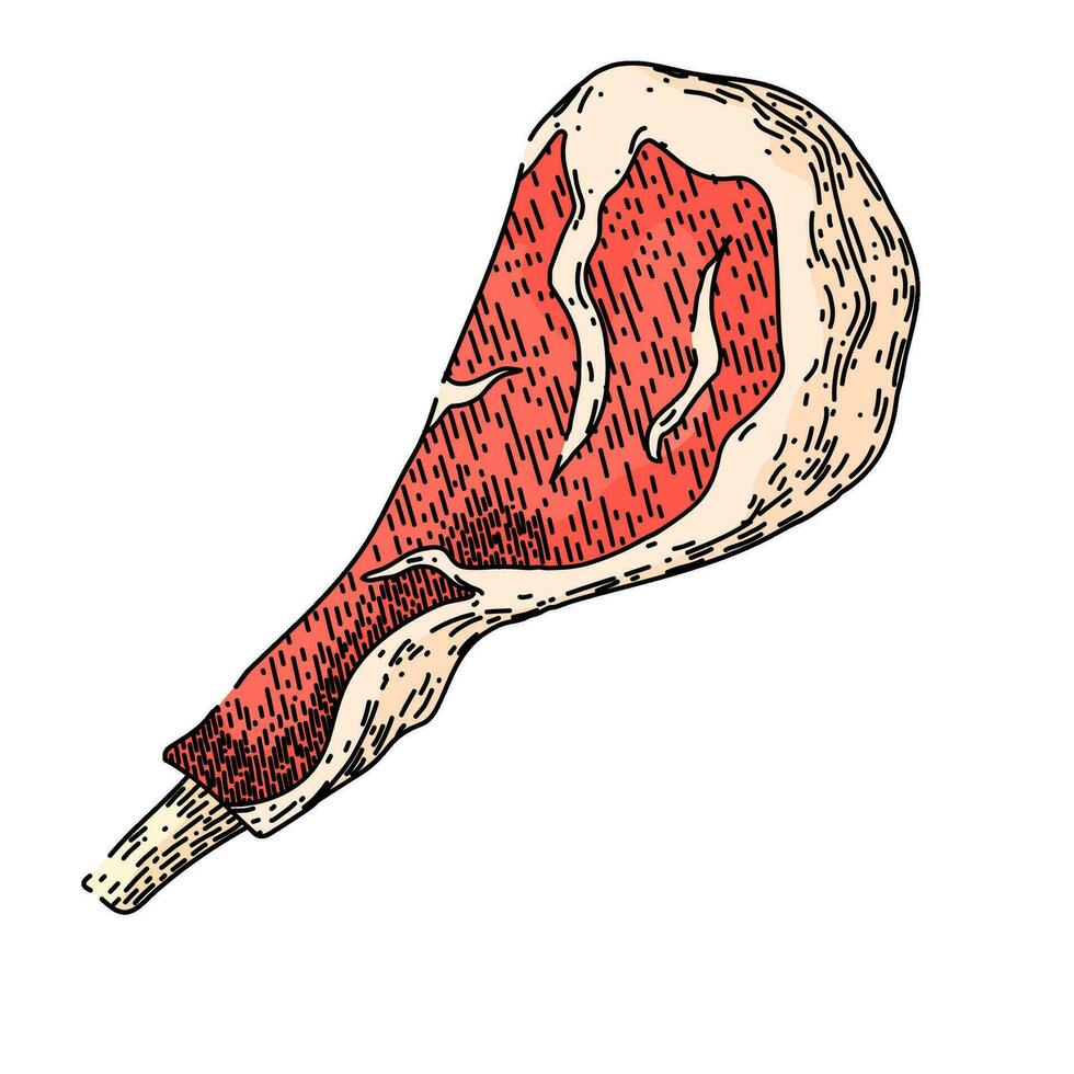rundvlees vlees schetsen hand- getrokken vector