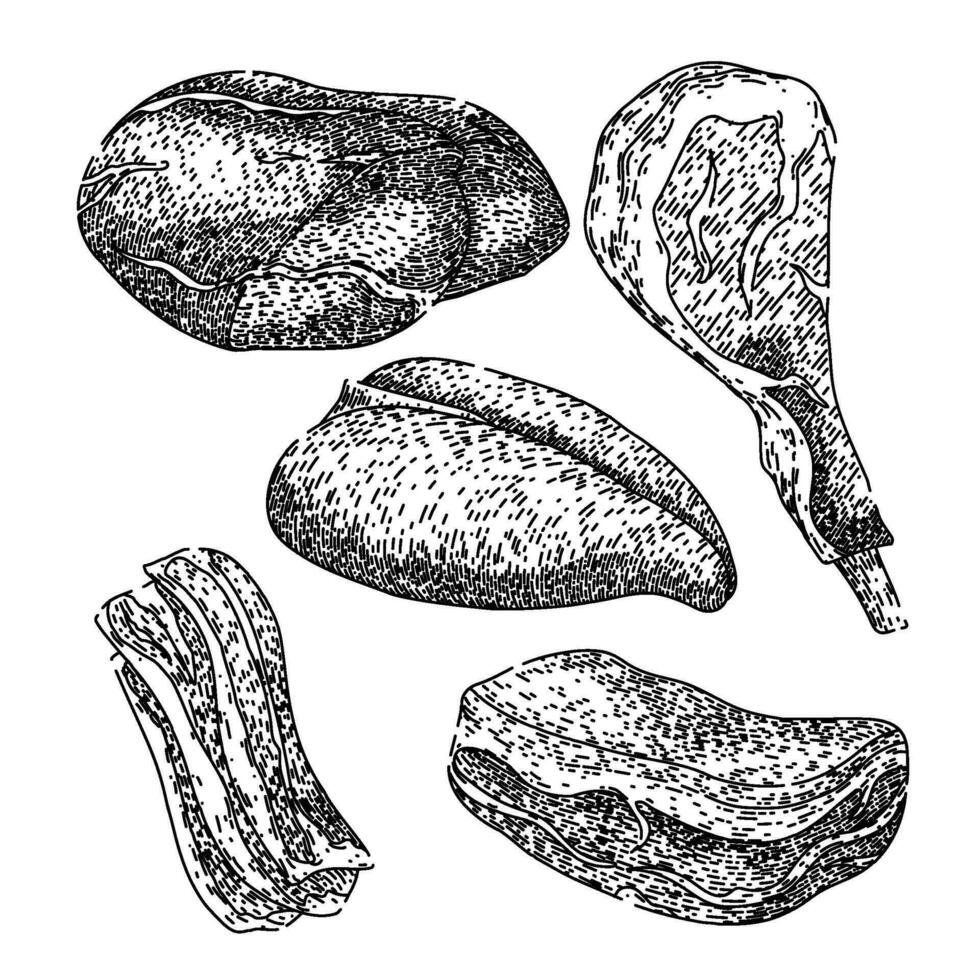 vlees reeks schetsen hand- getrokken vector