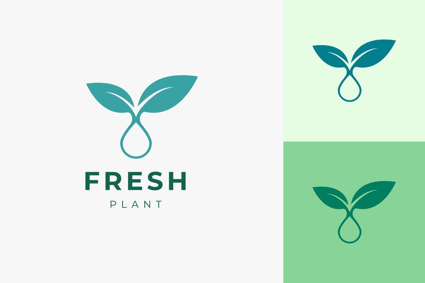 schoon en eenvoudig logo van plantaardige olie voor gezondheidszorg of schoonheidsserum vector