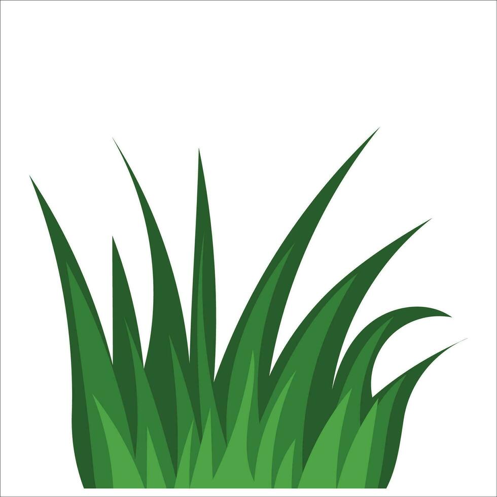 gras vector PNG