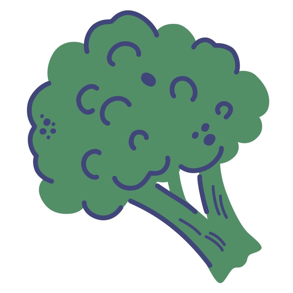 broccoli. hand tekenen vers gezond plantaardig voedsel. vector