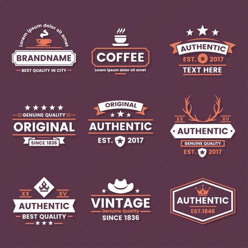 Vintage Retro Vector Logo voor banner