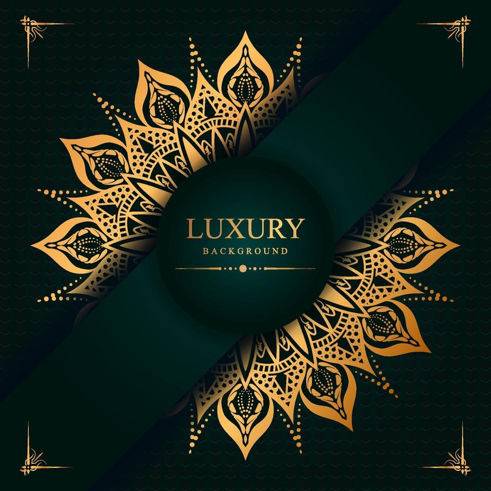 luxe mandala ontwerp achtergrond vector