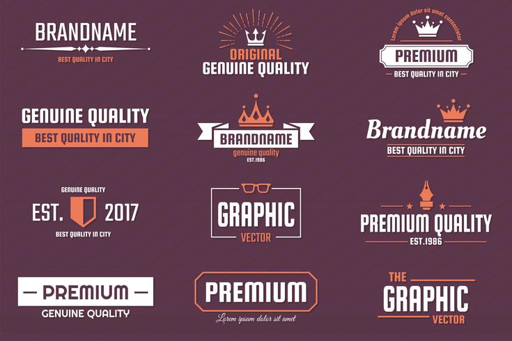 Vintage Retro Vector Logo voor banner