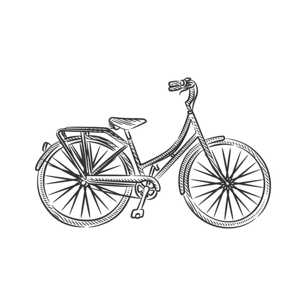 wijnoogst retro fiets lijn kunst hand- getrokken vector