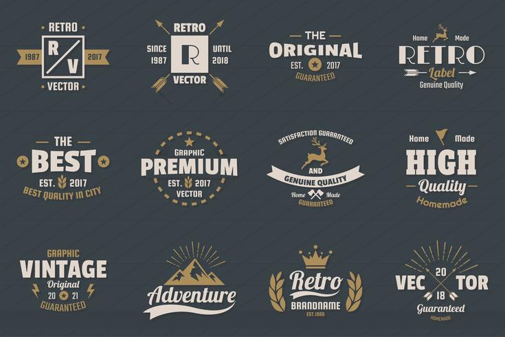 Vintage Retro Vector Logo voor banner