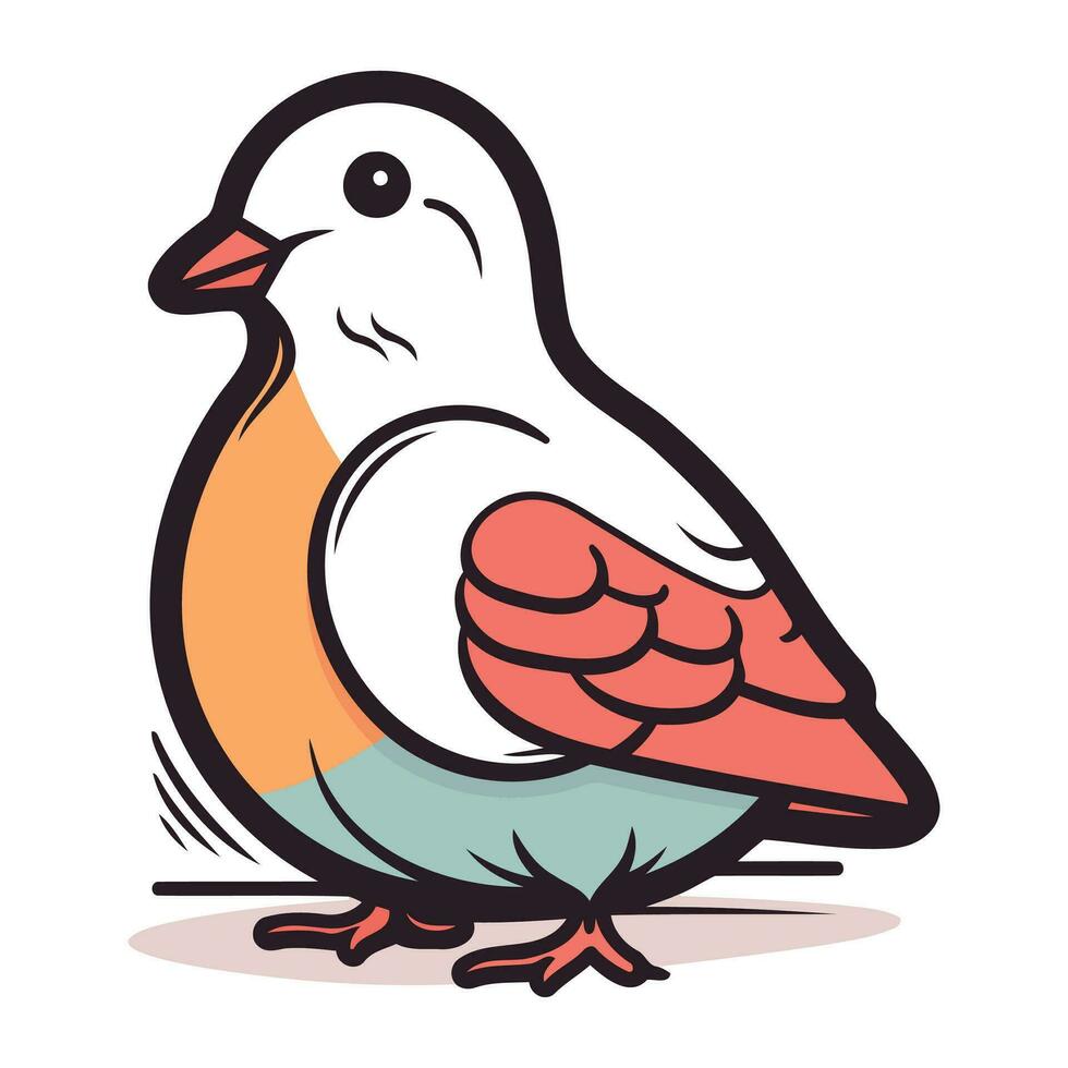 duif vector illustratie. hand- getrokken tekening vogel.