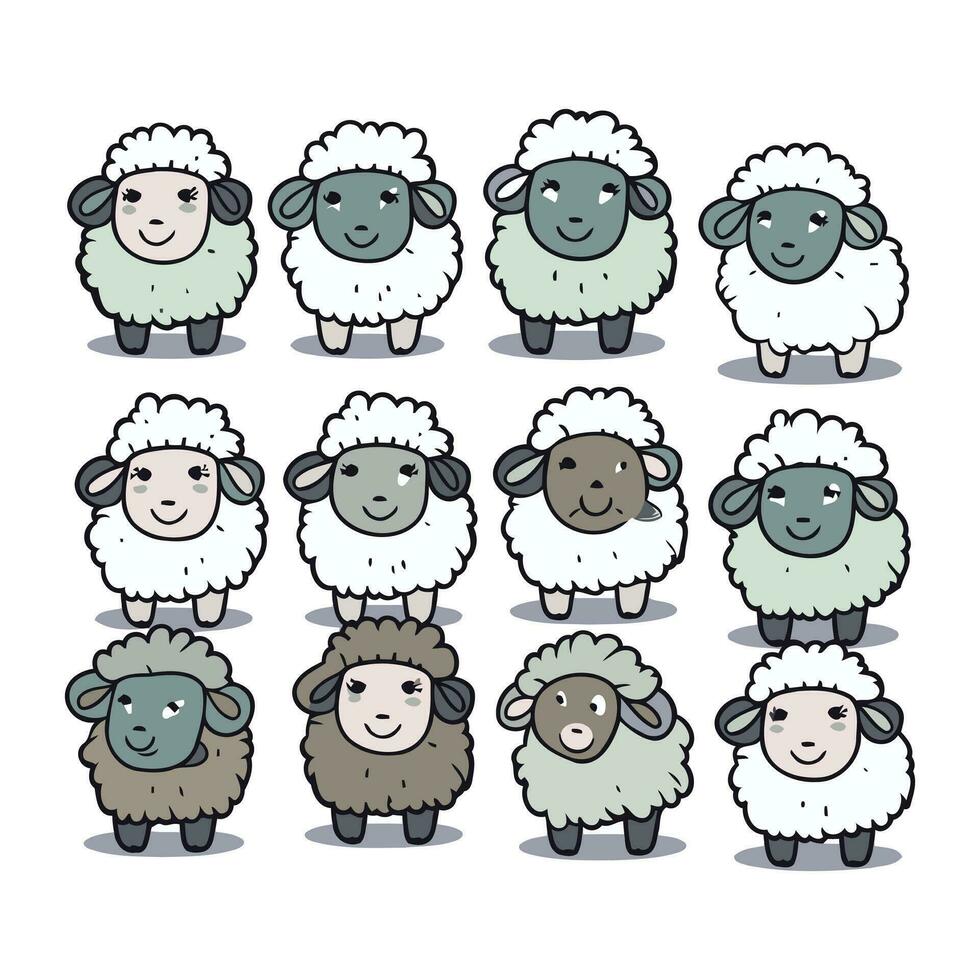 schattig tekenfilm schapen verzameling. vector illustratie geïsoleerd Aan wit achtergrond.