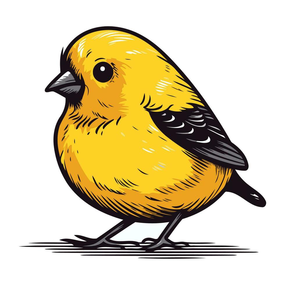 goudvink vector illustratie geïsoleerd Aan wit achtergrond. hand- getrokken vogel.