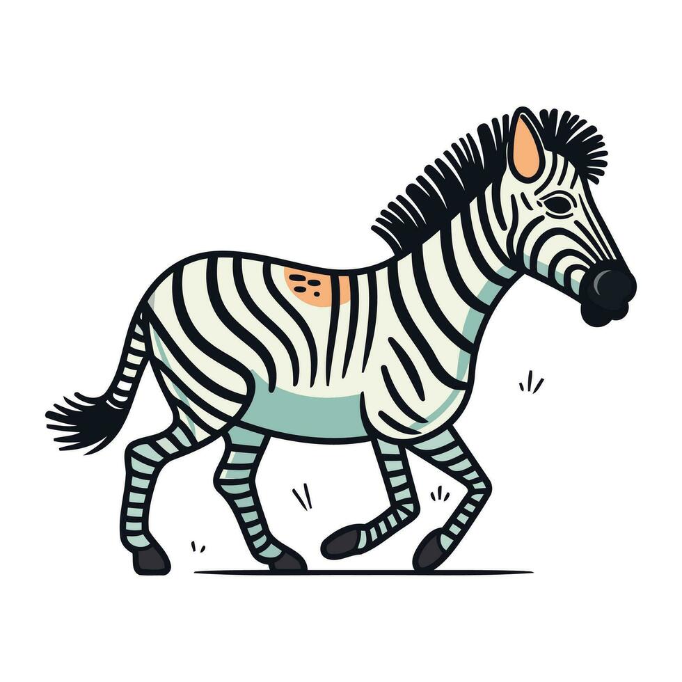 zebra. vector illustratie van een tekenfilm zebra Aan een wit achtergrond.