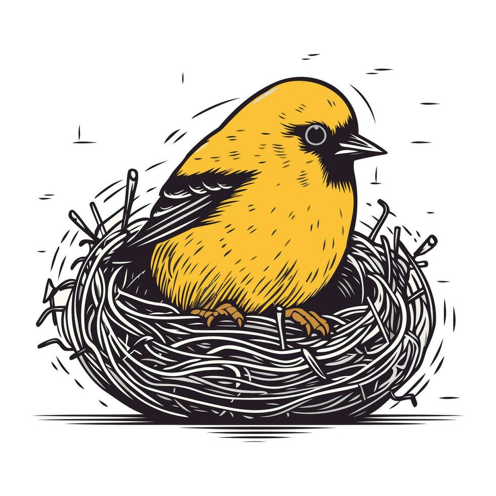 vogel in de nest. vector illustratie van een vogel in een nest.