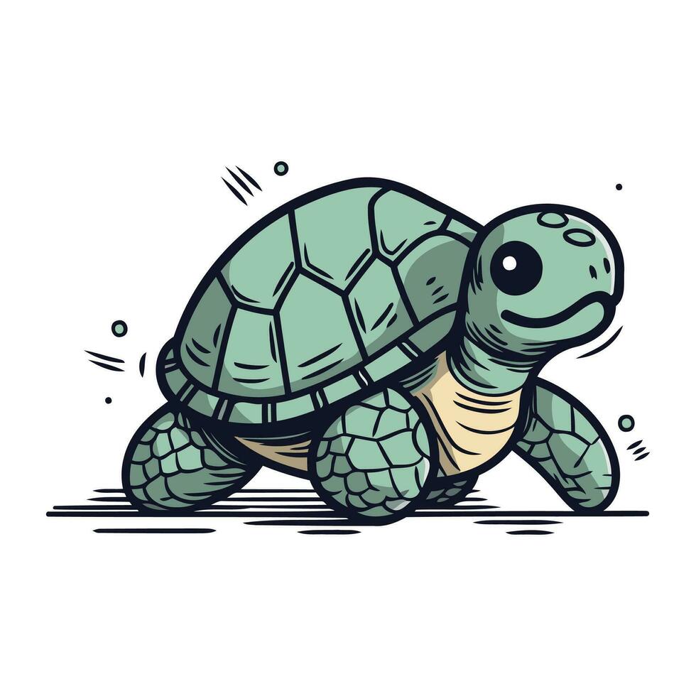 tekenfilm schildpad. vector illustratie van een schildpad geïsoleerd Aan wit achtergrond.