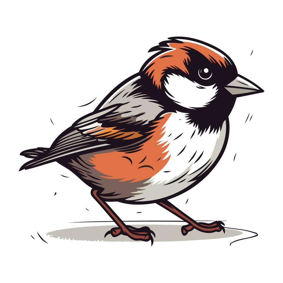 goudvink vogel geïsoleerd Aan een wit achtergrond. vector illustratie.